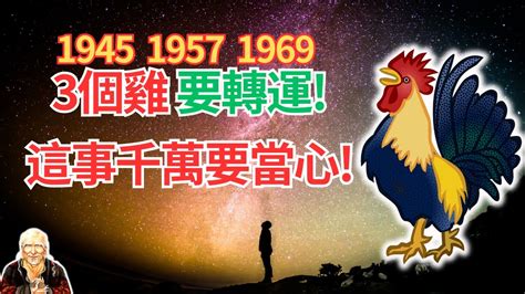 1957屬雞2022運勢|1957年生肖雞在2022年總運勢分析，各方面都很好